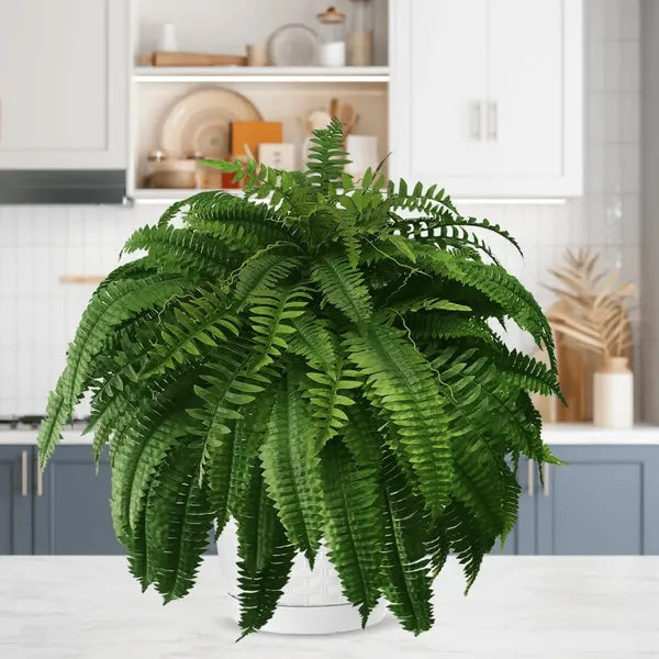 Last Day 65% OFFš„UV Resistant Lifelike Artificial Boston Fern