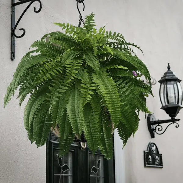 Last Day 65% OFFš„UV Resistant Lifelike Artificial Boston Fern